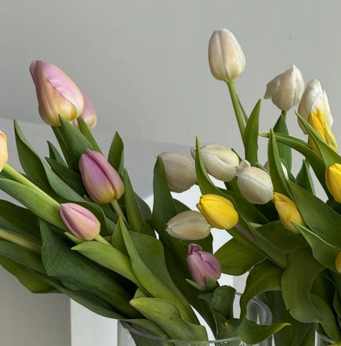 Bouquet Tulipas